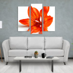 Frames Brisbane - Custom Framing - Neo Frame Print